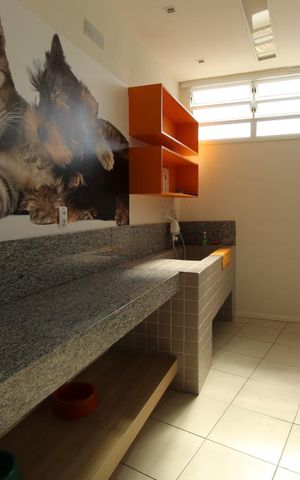 Apartamento para alugar com 62m², 2 quartos e 1 vaga Apartamento para alugar com 62m², 2 quartos e 1 vagaPet care