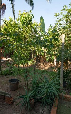 Casa à venda com 350m², 5 quartos e 3 vagasPátio Fundos