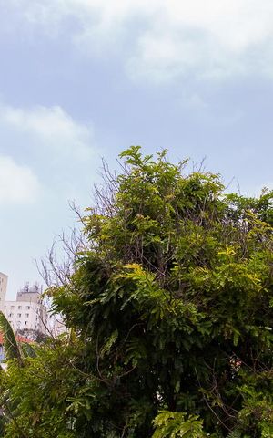Casa de condomínio à venda com 150m², 2 quartos e 2 vagas Casa de condomínio à venda com 150m², 2 quartos e 2 vagasVista da suíte