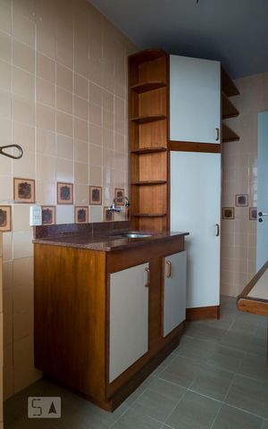 Apartamento para alugar com 52m², 1 quarto e sem vagaCozinha