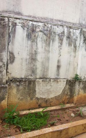 Casa à venda com 140m², 2 quartos e 2 vagasVista do Quarto 2