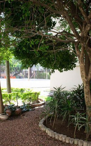 Apartamento à venda com 52m², 2 quartos e sem vagaÁrea Verde