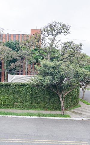 Casa à venda com 274m², 4 quartos e 3 vagas Casa à venda com 274m², 4 quartos e 3 vagasVista da Varanda