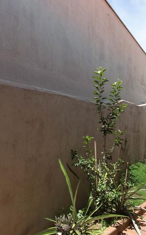 Casa para alugar com 950m², 3 quartos e 6 vagasVista da janela da suíte 2
