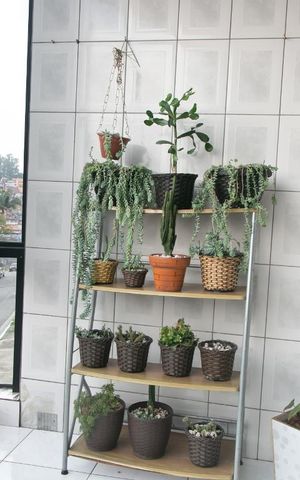 Casa à venda com 300m², 4 quartos e 2 vagasSacada Suíte 1