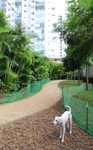 Apartamento para alugar com 60m², 2 quartos e 1 vagaÁrea comum - Espaço pet 