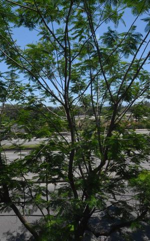 Apartamento à venda com 105m², 3 quartos e 1 vagaVista da Sala
