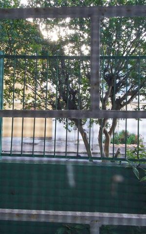 Casa à venda com 340m², 5 quartos e 3 vagasQuarto 5 - Vista
