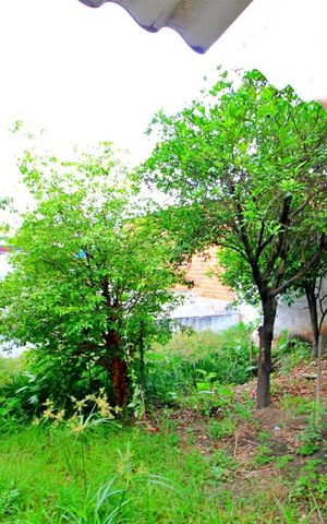 Casa à venda com 540m², 3 quartos e 2 vagasÁrea Externa