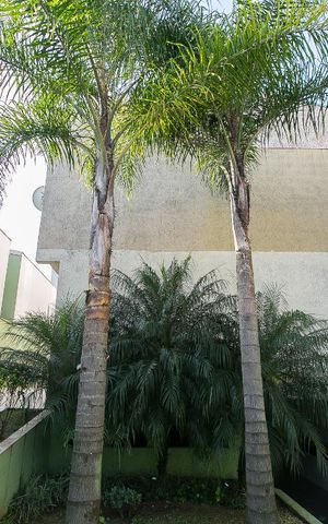 Casa de condomínio para alugar com 110m², 3 quartos e 2 vagasJardim