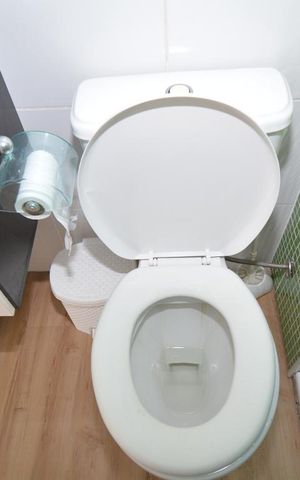 Apartamento à venda com 50m², 2 quartos e sem vagaBanheiro