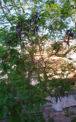 Casa à venda com 237m², 3 quartos e 2 vagasQuarto 3 - Vista