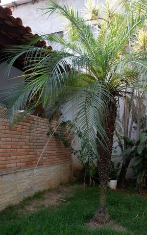Casa à venda com 378m², 4 quartos e 5 vagas Casa à venda com 378m², 4 quartos e 5 vagasQuintal