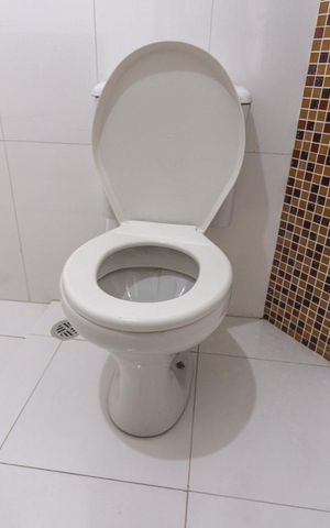 Casa para alugar com 580m², 7 quartos e sem vagaVaso