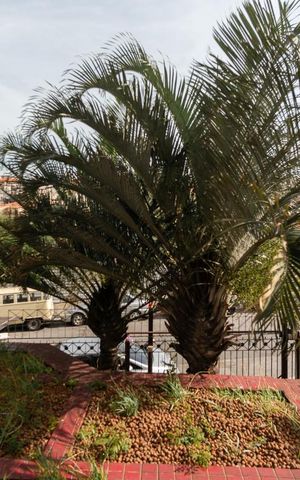 Apartamento à venda com 85m², 3 quartos e 1 vaga Apartamento à venda com 85m², 3 quartos e 1 vagaVista da Suíte