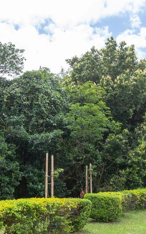 Casa de condomínio à venda com 304m², 4 quartos e 3 vagas Casa de condomínio à venda com 304m², 4 quartos e 3 vagasÁrea Verde - Mata Preservada