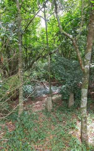 Casa de condomínio à venda com 304m², 4 quartos e 3 vagas Casa de condomínio à venda com 304m², 4 quartos e 3 vagasÁrea Verde - Mata Preservada