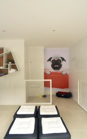 Apartamento para alugar com 38m², 2 quartos e sem vagaÁrea comum - pet care