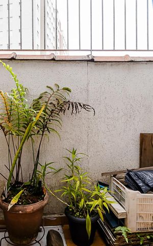 Casa à venda com 306m², 3 quartos e 2 vagasÁrea de Serviço e Quintal 2