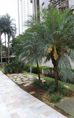 Studio para alugar com 60m², 1 quarto e 1 vagaÁrea comum