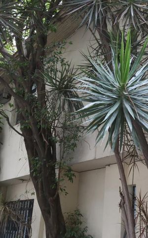 Casa para alugar com 170m², 4 quartos e 4 vagasFachada