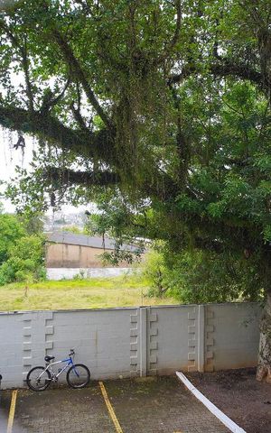 Apartamento para alugar com 50m², 2 quartos e 1 vagaSala - Vista