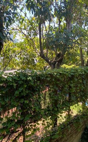 Casa à venda com 465m², 4 quartos e 4 vagas Casa à venda com 465m², 4 quartos e 4 vagasVista do Escritório