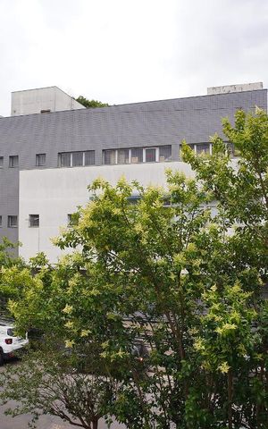 Apartamento para alugar com 63m², 2 quartos e sem vagaQuarto 2 - Vista