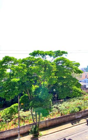 Apartamento à venda com 98m², 3 quartos e 2 vagasVista do Quarto 2