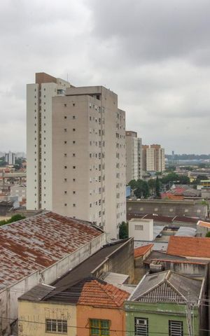 Apartamento à venda com 300m², 4 quartos e 2 vagasVista Varanda