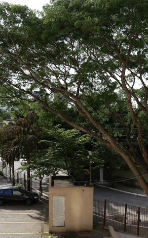Apartamento à venda com 54m², 2 quartos e 1 vagaVista da Varanda