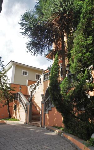 Casa à venda com 750m², 4 quartos e 6 vagasÁrea Externa