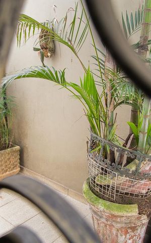 Casa à venda com 216m², 4 quartos e 3 vagasVista da sala de jantar