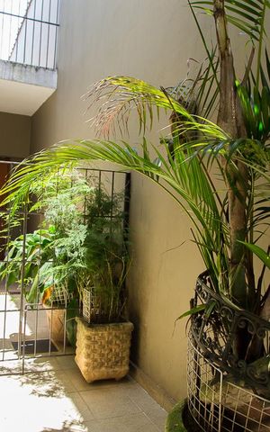 Casa à venda com 216m², 4 quartos e 3 vagasQuintal - Corredor