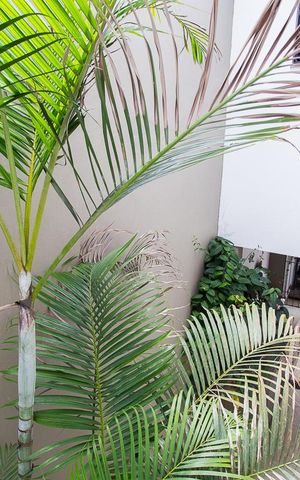 Casa à venda com 216m², 4 quartos e 3 vagasVista do quarto 1