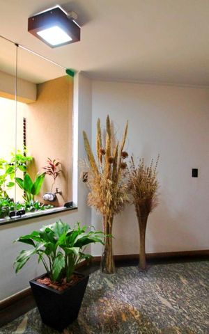 Apartamento à venda com 195m², 4 quartos e 4 vagasHall Social