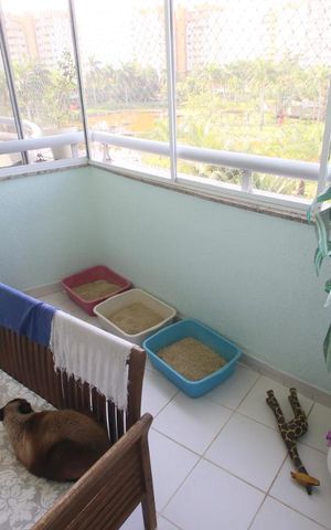 Apartamento à venda com 77m², 2 quartos e 1 vagavaranda da sala1