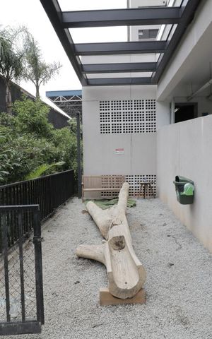 Apartamento para alugar com 40m², 1 quarto e sem vagaEspaço pet