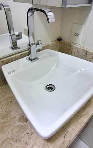 Apartamento para alugar com 49m², 2 quartos e 1 vagaDetalhes do Banheiro
