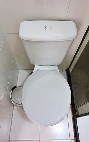 Apartamento para alugar com 49m², 2 quartos e 1 vagaDetalhes do Banheiro