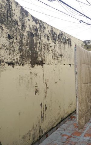 Casa à venda com 107m², 2 quartos e 2 vagasQuintal