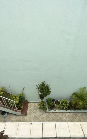 Casa à venda com 300m², 3 quartos e sem vagaVista do quarto 2 - quintal
