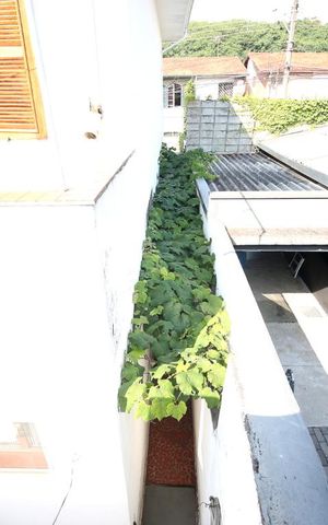 Casa à venda com 191m², 3 quartos e 3 vagasVista