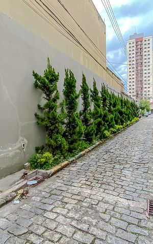 Casa de condomínio para alugar com 160m², 2 quartos e 1 vagaArea Comun