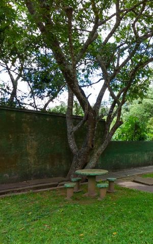 Apartamento para alugar com 50m², 2 quartos e 1 vaga Apartamento para alugar com 50m², 2 quartos e 1 vagaÁrea Comum - Verde