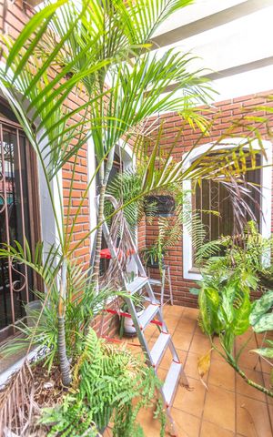 Casa para alugar com 530m², 4 quartos e 8 vagasJardim de inverno