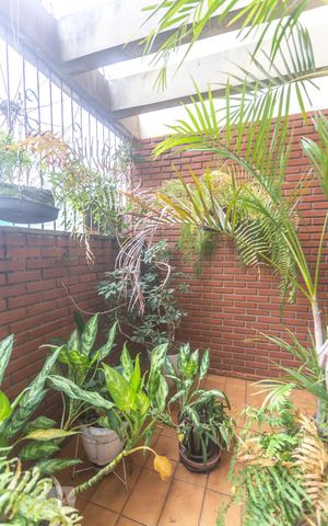 Casa para alugar com 530m², 4 quartos e 8 vagasJardim de inverno