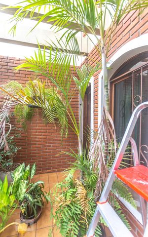 Casa para alugar com 530m², 4 quartos e 8 vagasJardim de inverno