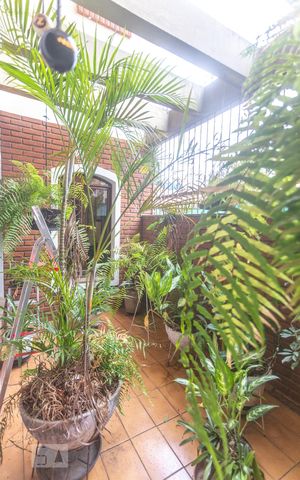 Casa para alugar com 530m², 4 quartos e 8 vagasJardim de inverno