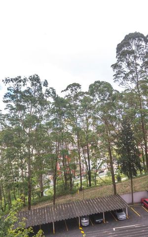 Apartamento à venda com 54m², 2 quartos e 2 vagasVista quarto 2